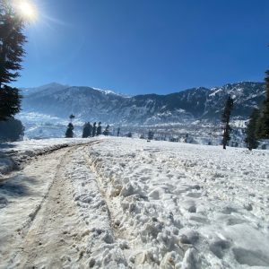 Kalam Forest Playground Usho  | Swat |