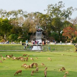 Gulshan Iqbal Park | Lahore | گلشن اقبال پارک