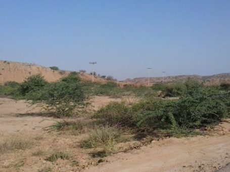 Kirthar National Park | Jamshoro | کیرتھر قومی پارک