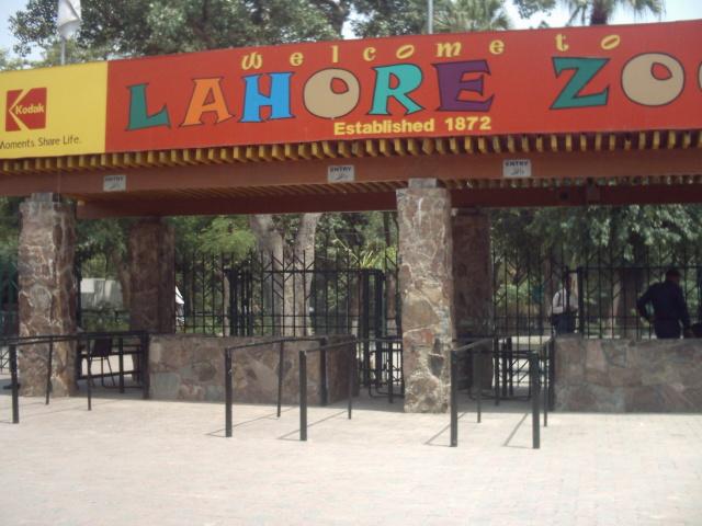 Lahore Zoo | لاہور چڑیا گھر