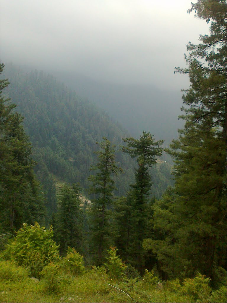 Shogran | Mansehra | شوگراں