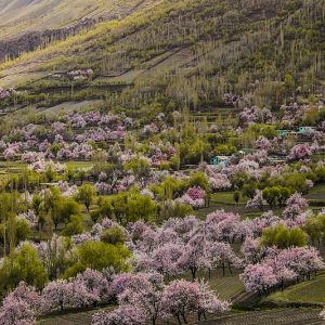 Chunda Valley | Skardu | چندا ویلی