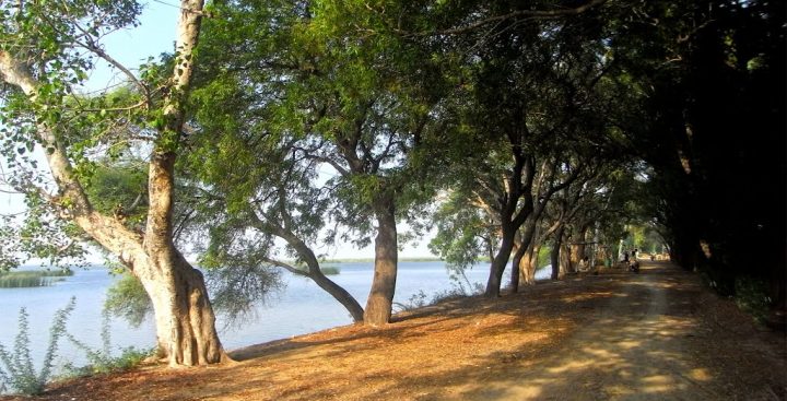 Haleji Lake | Thatta | ہالیجی جھیل