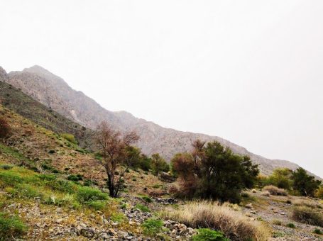 Hazarganji Chiltan National Park | Chaman | Mastung | ہزار گنجی چلتن نیشنل پارک