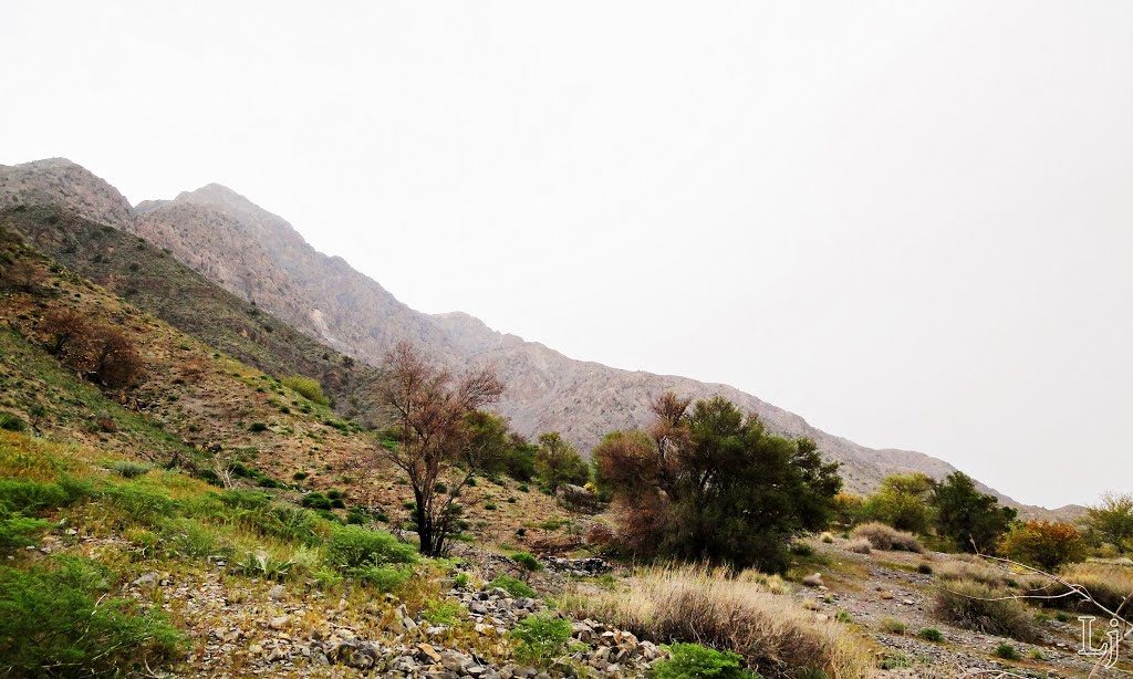 Hazarganji Chiltan National Park | Chaman | Mastung | ہزار گنجی چلتن نیشنل پارک