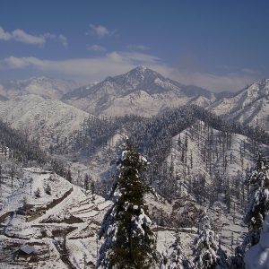 Shangla | ‎ضِلع شانگلہ