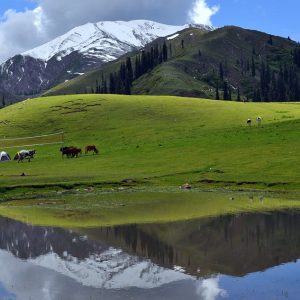 Siri Lake | Mansehra | سری جھیل