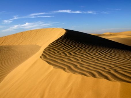 Thar Desert | Tharparkar | صحرائے تھر