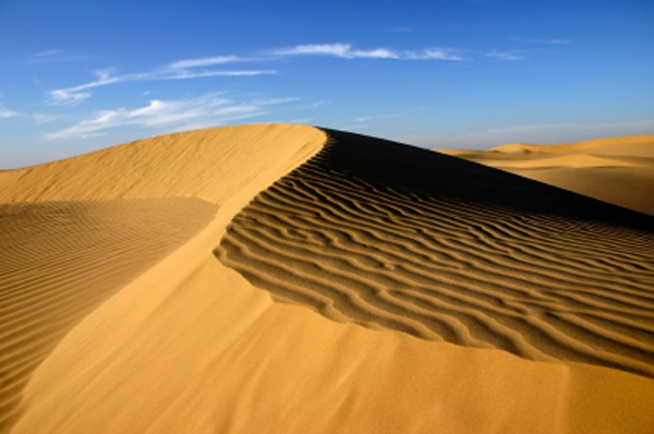 Thar Desert | Tharparkar | صحرائے تھر