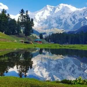 Fairy Meadows | Diamer | فیری میڈوز‎