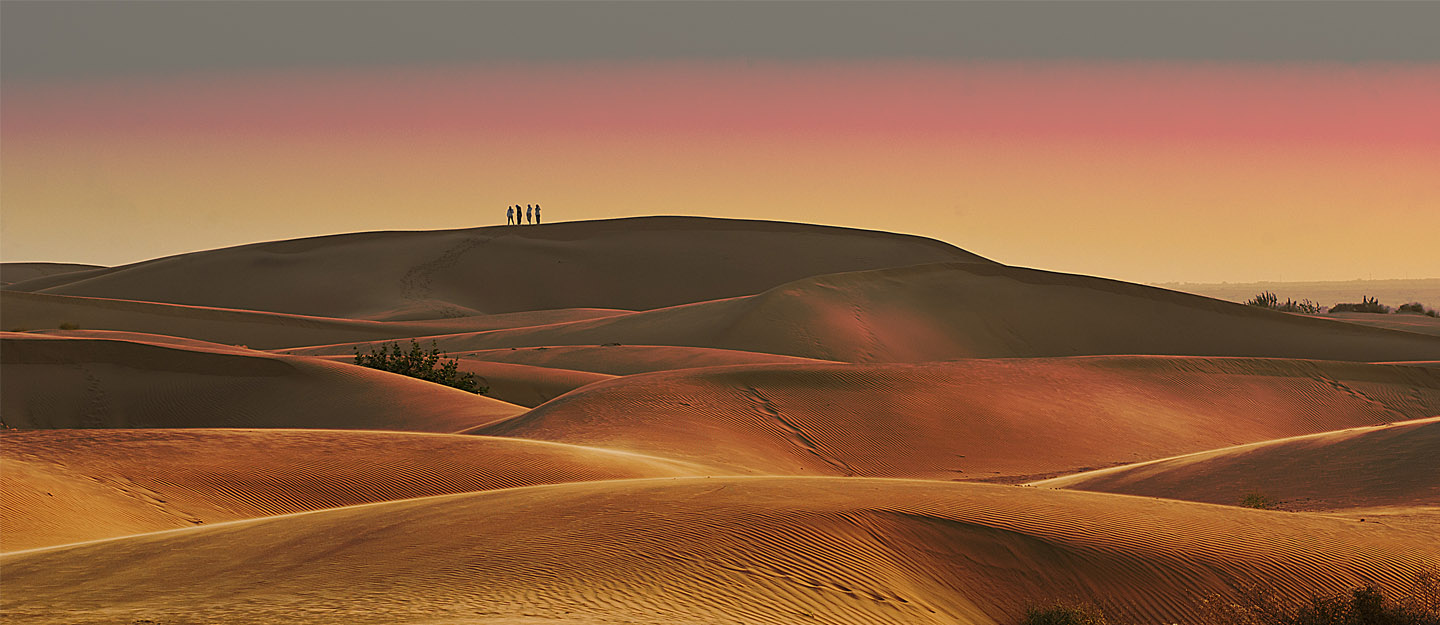 Cholistan Desert | Bahawalpur | چولستان روہی