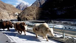 Khunjerab National Park | Hunza | خنجراب نیشنل پارک