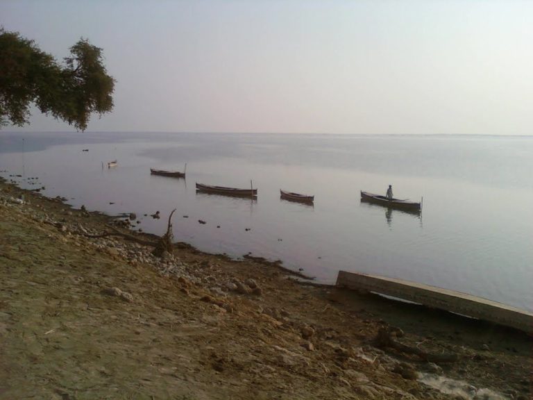 Manchar Lake | Dadu | منچھر جھیل