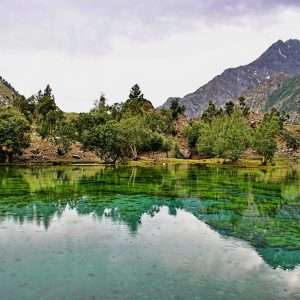 Naltar Valley | Gilgit  | نلتر وادی