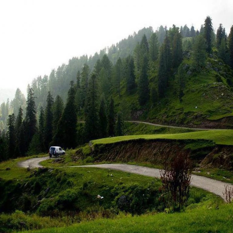 Toli Pir National Park | Poonch | تولی پیر نیشنل پارک