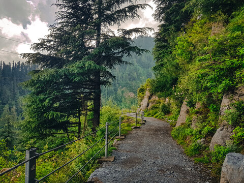 Dunga Gali-Ayubia Track | Pipeline Track | Abbottabad | پائپ لائن ٹریک