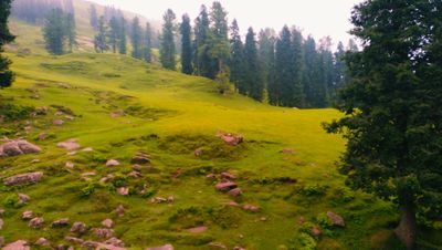 Panjal Mastan National Park | Bagh | پنجال مستان قومی پارک