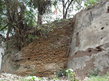 Sialkot Fort