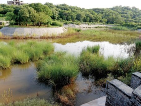 Lohi Bher Wildlife Park | Islamabad