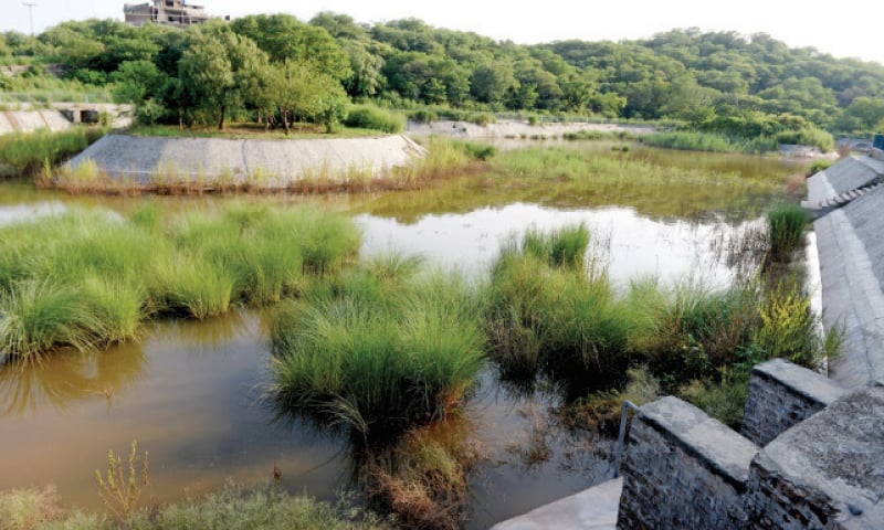 Lohi Bher Wildlife Park | Islamabad