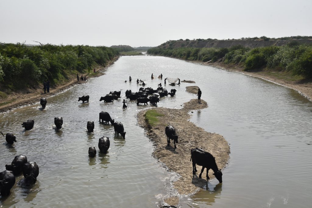 Hakra river | Bahawalnagar |