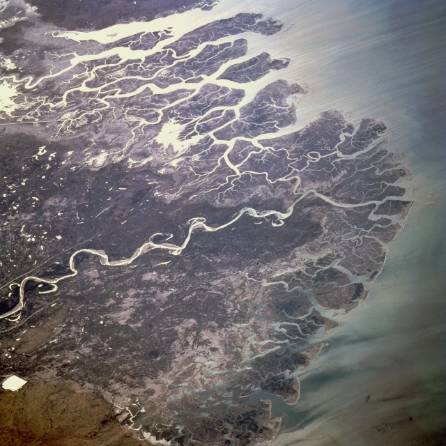 Indus River Delta | Thaata | Badin |