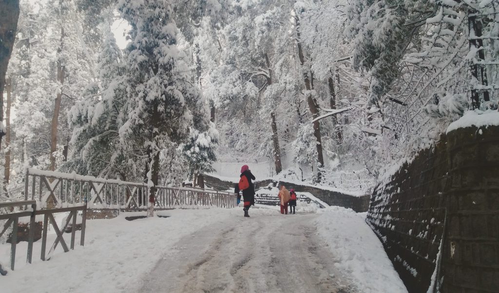 Gulehra Gali | Murree |