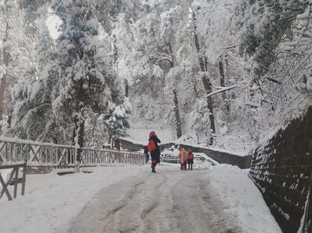 Gulehra Gali | Murree |