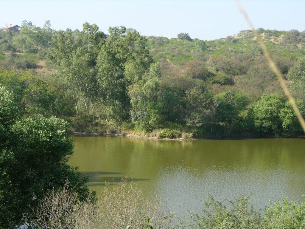 Lehri Nature Park | Jhelum |