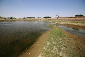 Bhodesar Dam Lake | Tharparkur |