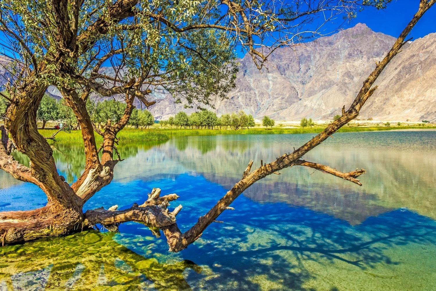 Jarba Zharba Lake (Blind Lake) | Shigar