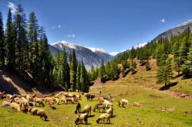 Utror valley | Swat |