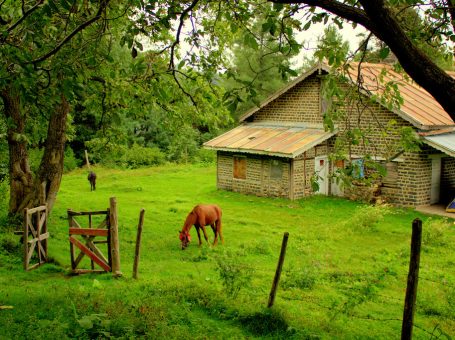 Beeran Gali | Abbottabad | بیرنگلی