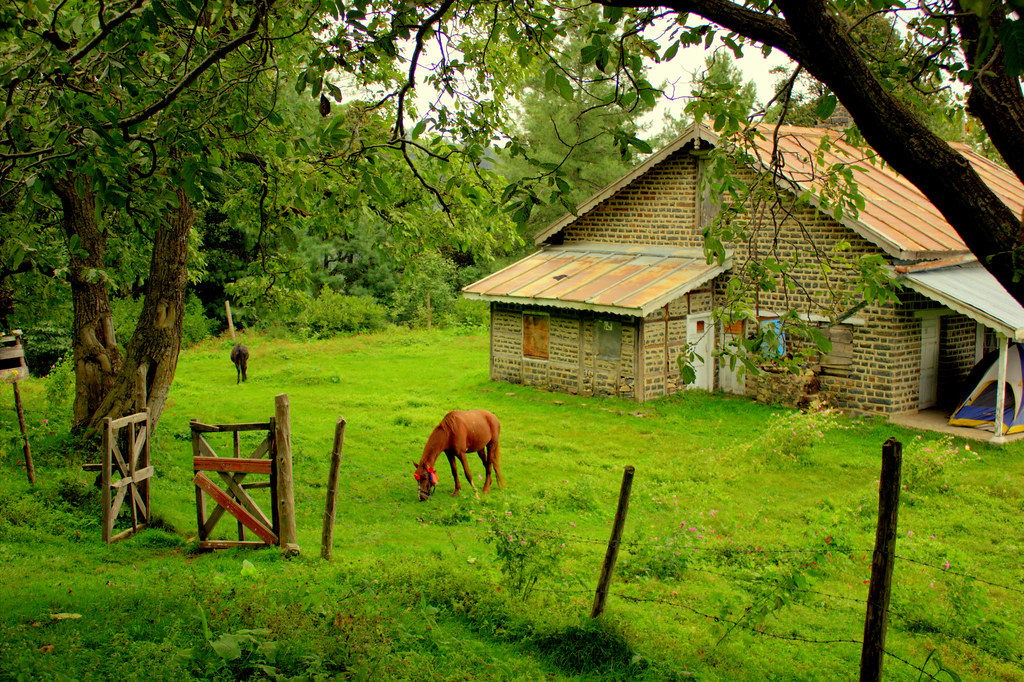 Beeran Gali | Abbottabad | بیرنگلی