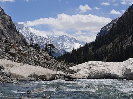 Usho Forest | Swat |