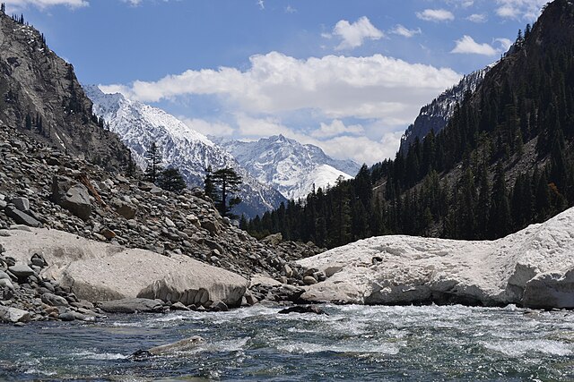 Usho Forest | Swat |